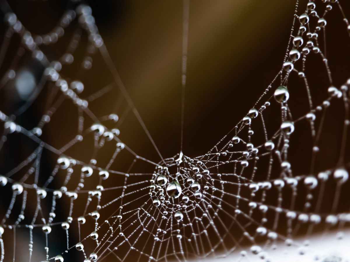 Perfectionism V.S. Perfectly Imperfect&nbsp;Improv